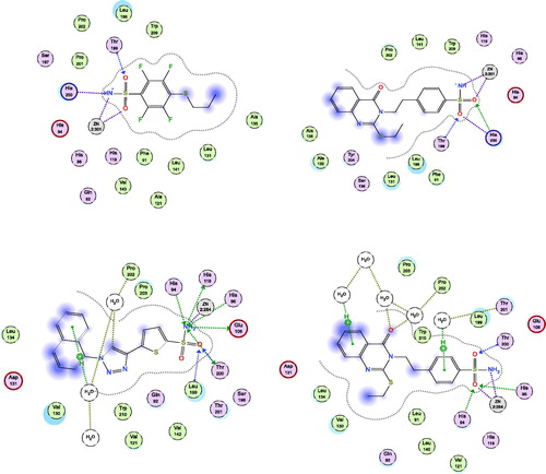 Figure 4. Docking modes of compound 3 in the binding pockets of CA isoenzymes I and IX. Interactions between the protein (PDB IDs: 4WR7, 5FL4). Predicted binding modes of co-crystallized inhibitor (upper left panel) and compound 3 (upper right panel) with hCA-I target as well as co-crystallized inhibitor (lower left panel) and compound 3 (lower right panel) with hCA-IX target.