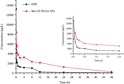Figure 6. Plasma drug concentration of EPB and Bio-CS-PLGA NPs after i.v. injection.