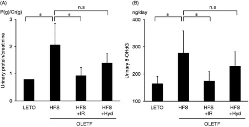 Figure 4. The ratio of urinary protein excretion to urinary creatinine excretion (A) and urinary 8-OHdG excretion (B) of OLETF HFS, HFS + IR, HFS + Hyd groups and LETO group at 26 weeks of age. n.s: not statistically significant. Values are mean ± SD. *p < 0.05 versus OLETF HFS group.