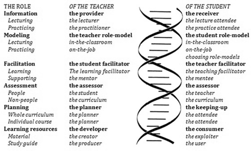 Figure 2. The double helix of both teacher's & student's roles.