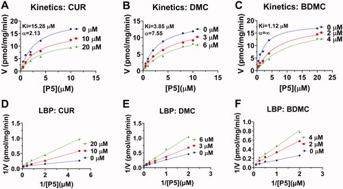 Figure 3. Enzyme kinetics-inhibition and Lineweaver-Burk plot analysis of curcumin analogues on human 3β-HSD2: Enzyme kinetics-inhibition analysis for curcumin (CUR), demethoxycurcumin (DMC) and bisdemethoxycurcumin (BDMC) (A-C); Lineweaver-Burk plot analysis for CUR, DMC, and BDMC (D-F), n = 4.