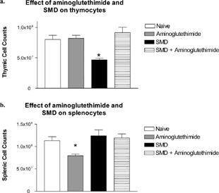 FIG. 5 SMD did not cause thymic atrophy in combination with aminoglutethimide. Mice were pretreated with aminoglutethimide 1 hour before SMD administration. SMD was administered (200 mg/kg) daily for 3 days. On day 4, thymi (a) and spleens (b) were collected and analyzed for alterations in cellularity. N= 5 mice per group. Asterisks (*) indicate significant difference from naïve control (p < 0.05).