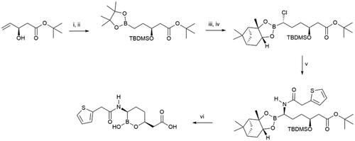 Scheme 2. Synthesis of vaborbactam. (i) TBDMSCl, imidazole, CH2Cl2, 94%; (ii) [Ir(COD)Cl]2, dppb, pinacolborane, CH2Cl2, 96%; (iii) (+)-pinanediol, THF; (iv) n-BuLi, CH2Cl2, -95 °C, THF; (v) LiHMDS, THF, -78 °C to rt; 2-thiopheneacetic acid, EDCI, HOBT, NMM, CH2Cl2, 70%; (vi) 3 M HCl, 1,4-dioxane, Δ, 64%.