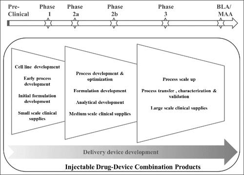 Figure 1. Overview of Injectable DDC Product Development Process and Typical Timelines in Relation to the Clinical Development Timeline.