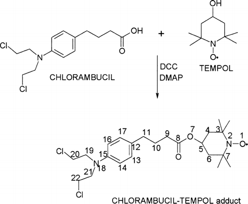FIG. 1 Route for the synthesis of chlorambucil-tempol.