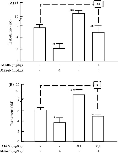 Figure 6. Serum testosterone levels of male rats treated with MEBa (A)/AECa (B) and/or maneb. The first batch of male rats was administered MEBa and/or 2% SS for 30 days (A), while the second batch received AECa and/or distilled water for 60 days (B). Maneb and 0.9% NaCl were administered during the 18 last days of the experiment. Data represent mean ± SD of five animals. ns: nonsignificant; *p < 0.05 and **p < 0.02, compared with the corresponding control group (group receiving neither plant extract nor maneb) (Student–Newman–Keuls test).