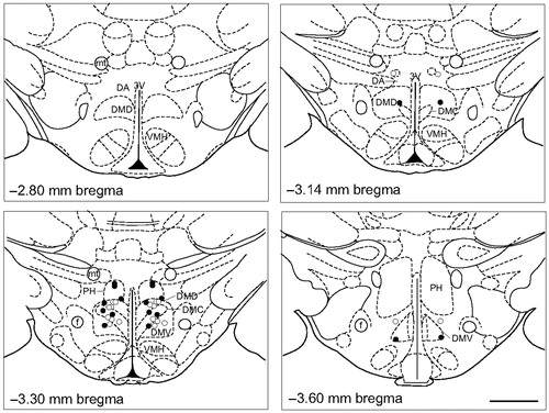 Figure 2. Bilateral injection cannulae placements for Experiment 3. The four panels were adapted from a stereotaxic atlas of the rat brain (Paxinos & Watson, Citation1998). The dorsomedial hypothalamus (DMH) was defined based on Fontes et al. (Citation2011). Open and closed circles represent cannulae placements considered inside the DMH for sham-adrenalectomized (ADX)/vehicle-treated rats and sham-ADX/corticosterone (CORT)-treated rats, respectively. 3V, 3rd ventricle; ADX, adrenalectomized; CORT, corticosterone; DA, dorsal hypothalamic area; DMC, dorsomedial hypothalamic nucleus, compact part; DMD, dorsomedial hypothalamic nucleus, dorsal part; DMV, dorsomedial hypothalamic nucleus, ventral part; f, fornix; mt, mammillothalamic tract; PH, posterior hypothalamic area; and VMH, ventromedial hypothalamic nucleus. Scale bar, 1 mm.