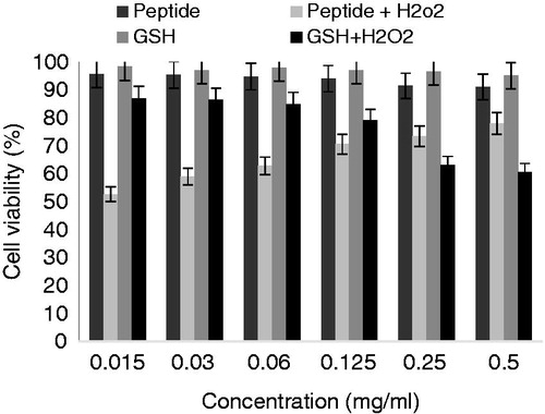 Figure 5. Protective effect of DG-10 peptide on H2O2-induced oxidative damage in normal cells. The viability of cells after H2O2 treatment was assessed by the MTT assay.