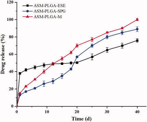 Figure 3. ASM accumulated release from different PLGA microspheres in vitro.