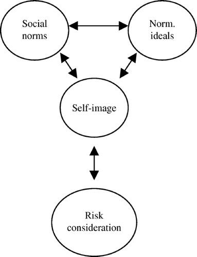 Figure 2.  A preliminary conceptual model of the relations between the categories of risk perception.