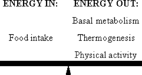 Figure 2. Humans must balance the amount of energy they consume, in the form of food, with the amount of energy they expend, through basal metabolism (homeothermy and biological maintenance), thermogenesis, and physical activity. When excess energy is required for one process utilizing energy, less energy is available to sustain other processes.
