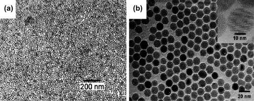 Figure 5. Maghemite nanoparticles prepared in solution by decomposition of organic precursors at high temperature: (a) FeCup3. Reprinted from (CitationRockenberger et al. 1999). (b) Fe(CO)5. Reprinted from (CitationHyeon et al. 2001).