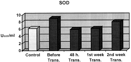 Figure 3. Comparison of SOD levels.