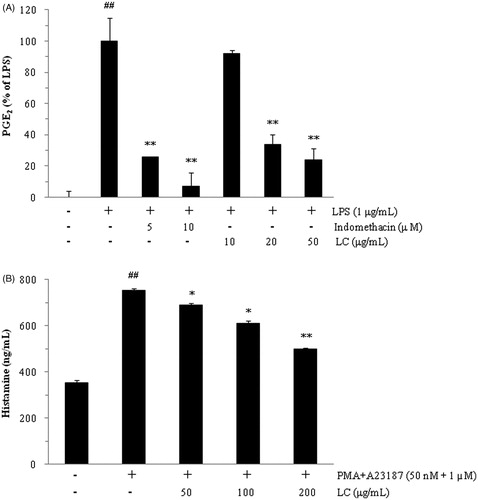 Figure 1. Luffa cylindrica extract (LC) inhibited the production of PGE2 (A) and histamine (B) in LPS-stimulated RAW 264.7 and PMA- and A23187-treated HMC-1 cells, respectively. ##p < 0.01 compared with non-stimulated cells. *p < 0.05 and **p < 0.01 compared with stimulated cells, respectively.