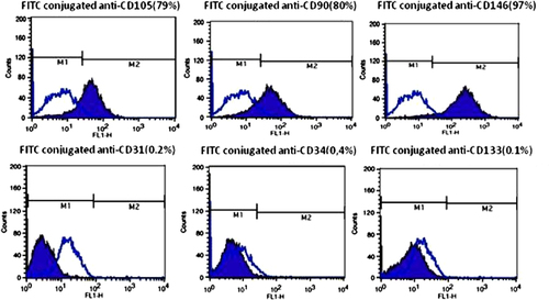 Figure 8. Flow cytometric analysis of isolated EnSC for mesenchymal stem cell markers (CD90, CD105, and CD44), haemopoietic marker (CD34 and CD133), endothelial marker (CD31) and ES cell marker (OCT4). As shown the isolated cells are positive for CD90, CD105, CD44, and OCT4 and are negative for CD31, CD34.