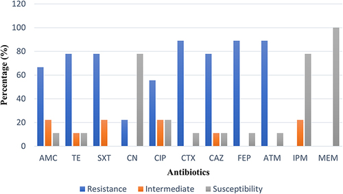 Figure 4 Antibiograms of ESBL-EC Environmental isolates.