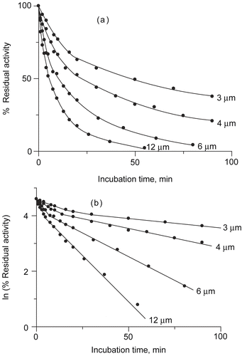 Figure 1.  (a) Inactivation progress curves as a dependence of urease residual activity vs incubation time at pH 7.8, for different DCNQ concentrations. (b) Dependence of urease residual activity vs incubation time in semilogarithmic system. DCNQ concentration is given numerically.