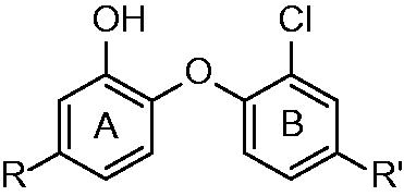 Figure 5. Structures of triclosan analogues published by Freundlich et al.; R: aliphatic, aromatic or heteroaromatic substitution; R': Cl and CN.
