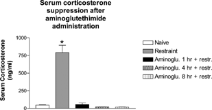 FIG. 4 Aminoglutethimide blocked serum corticosterone for up to 8 hours in vivo. Mice were administered aminoglutethimide for 8, 4, and 1 hour. One hour before collection of serum, all mice (except naïve) were restrained to induce a stress response. Trunk blood was collected at 9:00 AM and serum was isolated for analysis of corticosterone by RIA. N = 5 mice per group. Asterisks (*) indicate significant difference from naïve control (p < 0.05).