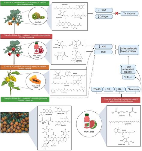 Figure 9 Bioactive compounds and protective effects of kiwifruit (Actinidia deliciosa), pomegranate (Punica granatum), papaya (Carica papaya), pineapple (Ananas comosus) and watermelon (Citrullus lanatus). The mechanism of action involves reduction of thrombosis, atherosclerosis and blood pressure via lowering platelets’ responsiveness to collagen and ADP, reducing ACE activity, oxidative stress, inflammation and regulation of blood cholesterol levels.