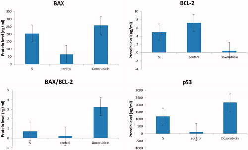 Figure 4. quantitative analysis of Bax, BCL-2 and Bax/BCL-2 ratio and p53 for compound 5 compared to doxorubicin, where Y-axis represents the protein levels (ng/ml).