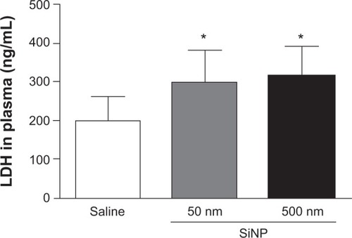 Figure 4 Lactate dehydrogenase activity in plasma 24 hours after the administration of either 50 nm or 500 nm amorphous silica nanoparticles (0.5 mg/kg) in mice.Notes: *P<0.05 compared with the corresponding saline-treated group. Data are mean ± standard error of mean (n=6–7).Abbreviations: LDH, lactate dehydrogenase; SiNP, silica nanoparticle.