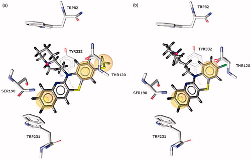 Figure 5. Binding mode of compounds 15 and 16 in the active site of butyrylcholinesterase. Marked spheres (yellow) show hydrophobic interactions. (a) Compound 15 and (b) Compound 16.