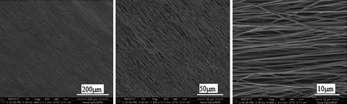 Figure 2. SEM photographs were exhibiting the alignment of the PHBV nanofiber scaffolds at different magnifications.