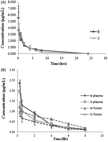 Figure 2. (A) Plasma concentration profile of derivatives 5 (squares) and 6 (diamond) following intravenous administration at 5.0 mg/kg dose in Wistar rat. Data shown in mean ± SD (n = 4). (B) Plasma and tumor concentration profiles of 5 and 6 following intravenous administration at 5.0 mg/kg dose in tumor-bearing mice (TBM). Data shown in mean ± SD (n = 4). Plasma and tumor concentration (µg/mL) determined by HPLC.