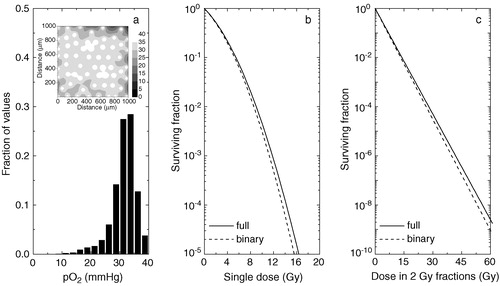 Figure 1. Theoretical predictions of the tumour response to radiation for a tumour tissue well supplied with oxygen. a) oxygenation of the tissue as histograms (inset–full tissue oxygenation map). b) predicted response to single doses of radiation. c) response from fractionated treatments. Solid lines–predictions for a continuous distribution of oxygen tensions in tumours. Dashed lines–predictions for a ‘black-and-white’ (binary) distribution of oxygen tensions in tumours.