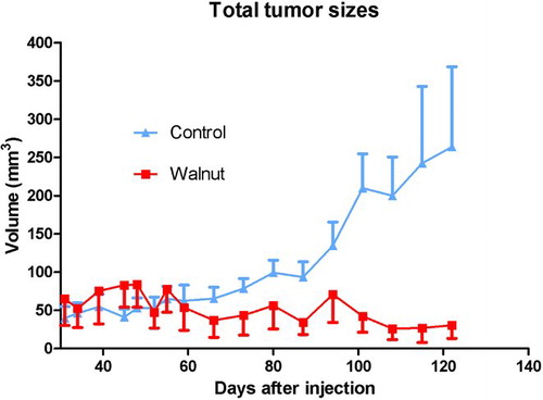 Figure 3  Summary of the calculated tumor sizes (±SEM) during the course of the study in the control-fed and walnut-fed mice. The calculated size of the three tumors in the walnut-fed mice remained small throughout the study while those in the control-fed animals continued to grow. The tumor volumes in the control animals near the end of the study varied widely among the animals. These data were analyzed independently by statisticians WEH and William W. Morgan using the Mann–Whitney U and the Kruskal–Wallis test, neither of which yielded statistical significance. This again was likely due to the small number of tumors in the walnut-fed animals and the large variation in tumor sizes.