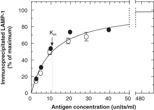 Figure 3. Optimization of the cell-concentration range to be used for the quantitative immunoprecipitation of LAMP-1. 35S-LAMP-1 was immunoprecipitated from a detergent-soluble fraction of cell lysate (160 μl) at increasing concentrations (1 unit of LAMP-1 was as obtained from 106 cells), with ID4B (2 μl of 50-fold concentrated TCM) and protein-G beads (50 μl). Error bars (where larger than symbol) indicate variation between duplicate samples from the same experiment. Different symbols refer to independent experiments. The curve shows Michaelis-Menton kinetics with a Km = 10.63 units/ml.