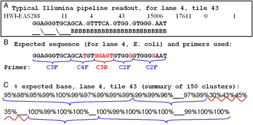 Figure 5.  Accuracy of multiplex sequencing. Output and accuracy of Illumina 16S rRNA gene multiplex sequencing for a target of known sequence (Lane 4, E. coli). A) typical text output from the analysis pipeline, shown for one cluster of lane 4, tile 43. The sequence calls are followed by quality estimates using characters ‘_’, ‘B’, etc (see text). B) Expected sequence for E. coli, with the primers shown for their respective read cycles. Bases in black were called correctly > 95% of the time; in red, either not called or mostly incorrectly. C) Summary of the percent of correct calls analyzed for 150 clusters from lane 4, tile 43. Brackets are the same as in (B).