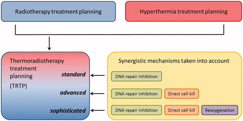 Figure 3. Schematic representation of the requirements for thermoradiotherapy planning (TRTP). The first generation of TRTP software should incorporate the DNA repair inhibition mechanism. To improve reliability, later generations should be extended with direct cell killing and reoxygenation.