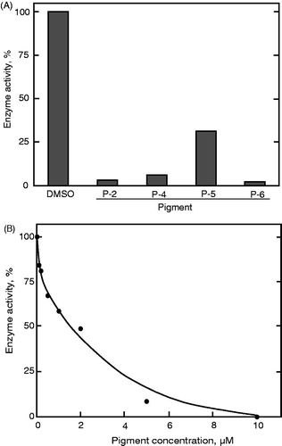 Figure 6. Inhibition of PP2A activity by the prodigiosin congeners. (A) The assay was conducted in the presence of the individual compounds at 10 μM. (B) Enzyme inhibition was assayed in the presence of P-2 at different concentrations. Data represent a typical result from two independent experiments and the mean values of enzyme activity assayed in duplicate. Values in duplicate assay were within 10% of each other.
