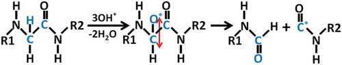 Figure 7. Reaction mechanism of C-C bond breaking upon three subsequent impact of *OH radical on the hydrogen atom in Gly.