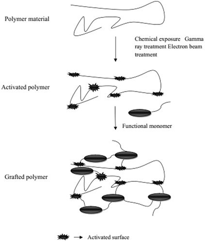 Figure 4. Grafting of a monomer on performed polymer backbone leading to branching and crosslinking.