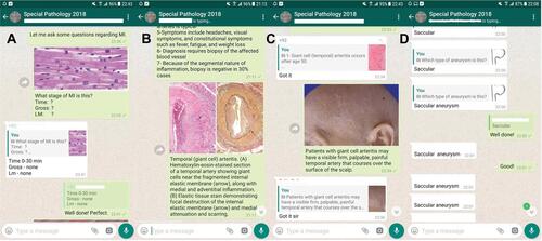Figure 1 Educational content delivery through WhatsApp. (A) Shows response of a student on a microscopic image and feedback by the educator. (B) Shows another microscopic image and its features shared by the educator. (C) Shows a gross image. (D) Shows response of several students over a question.