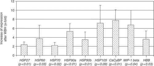 Figure 3. Densitometric evaluation of sqRT-PCR with cDNA of four different patients undergoing WBH and chemotherapy (lymphocyte samples before and after treatment). Shown is the relative increase of expression after therapy (×fold ± SD) of HSP27, HSP60, HSP70, HSP90a, HSP90b, HSP105, CacyBP, MIP-1 beta, HBB.
