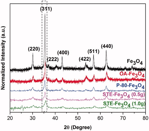 Figure 2. The XRD diffraction pattern of bare Fe3O4, OA-Fe3O4, P-80-Fe3O4 and STE-Fe3O4 (1.0 g and 0.5 g).