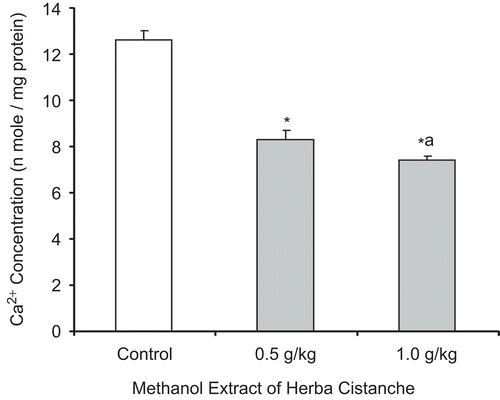 Figure 3.  A methanol extract of Herba Cistanche affects mitochondrial Ca2+ content in rat hearts. Rats were fed a methanol extract of Herba Cistanche at 0.5 g/kg and 1.0 g/kg for 3 days. Mitochondrial Ca2+ contents were measured as described in “Materials and methods.” Each bar represents mean ± SEM, with five animals/group. *Significantly different from untreated control group; asignificantly different from group pretreated with 0.5 g/kg extract.