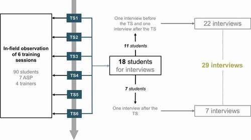 Figure 1. Illustration of data collection and recruitment procedures – TS = training session, ASP = adolescent simulated patients. We conducted in-field observation during training sessions 1 to 6 and recruited 18 students for interviews in training sessions 1 to 4 and 6.
