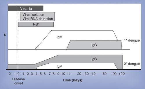 Figure 1. Approximate window of detection for dengue diagnostics.NS1: Non-structural protein 1.Data taken from Citation[1].