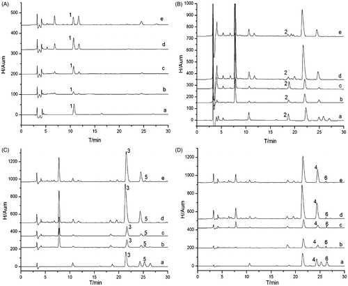 Figure 1. Typical HPLC chromatograms of standards (lower trace) and samples (upper trace). (A) 327 nm; (B) 240 nm; (C) 254 nm and (D) 264 nm. Peaks: 1, chlorogenic acid; 2, loganin; 3, strychnine; 4, brucine; 5, strychnine N-oxide and 6, brucine N-oxide.