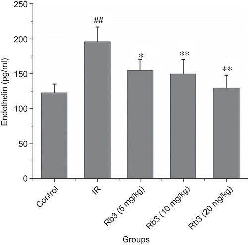 Figure 9.  Effects of ginsenoside Rb3 on endothelin level in myocardial ischemia-reperfusion injury in rats. Data were expressed as the mean ± SD (n = 8–10). Statistical significances were determined using one-way analysis of variance (ANOVA) followed by the least significant difference test. ##p < 0.01 compared with control group; *p < 0.05, **p < 0.01 compared with myocardial ischemia-reperfusion group.