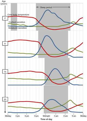 Figure 1 Illustration of changes in 24-hour rhythms of sleep–wake, melatonin secretion, cortisol secretion, and core body temperature from childhood to adulthood.