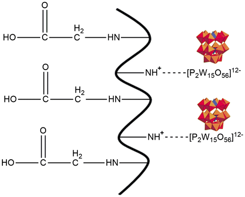 Figure 1. Presumptive structure of the acrylic acid-gelatin-POM self-assembled hydrogel.