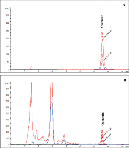Figure 1.  HPLC chromatograms of standart quercetin (A) and Romix® extract (B).