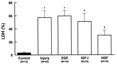 Figure 5. Effects of growth factors EGF (20 ng/mL), IGF-I (20 ng/mL) or HGF (20 ng/mL) on LDH release in MDCK cells during hypoxic-injury. Data are mean ± SD of culture bottle compared to controls and untreated injury group; *p<0.001 vs. Control; †p<0.001 vs. Injury and EGF; †p<0.05 vs. IGF-I.