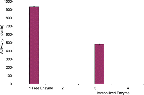Figure 1.  Specific activity of free (0.0102 mg/mL) and immobilized (0.006 mg/mL) A. parasiticus cytosine deaminase.